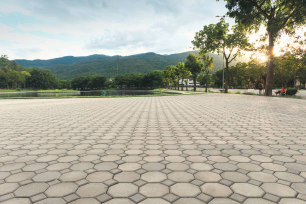 Best Driveway Paving Contractor  in Finley, WA